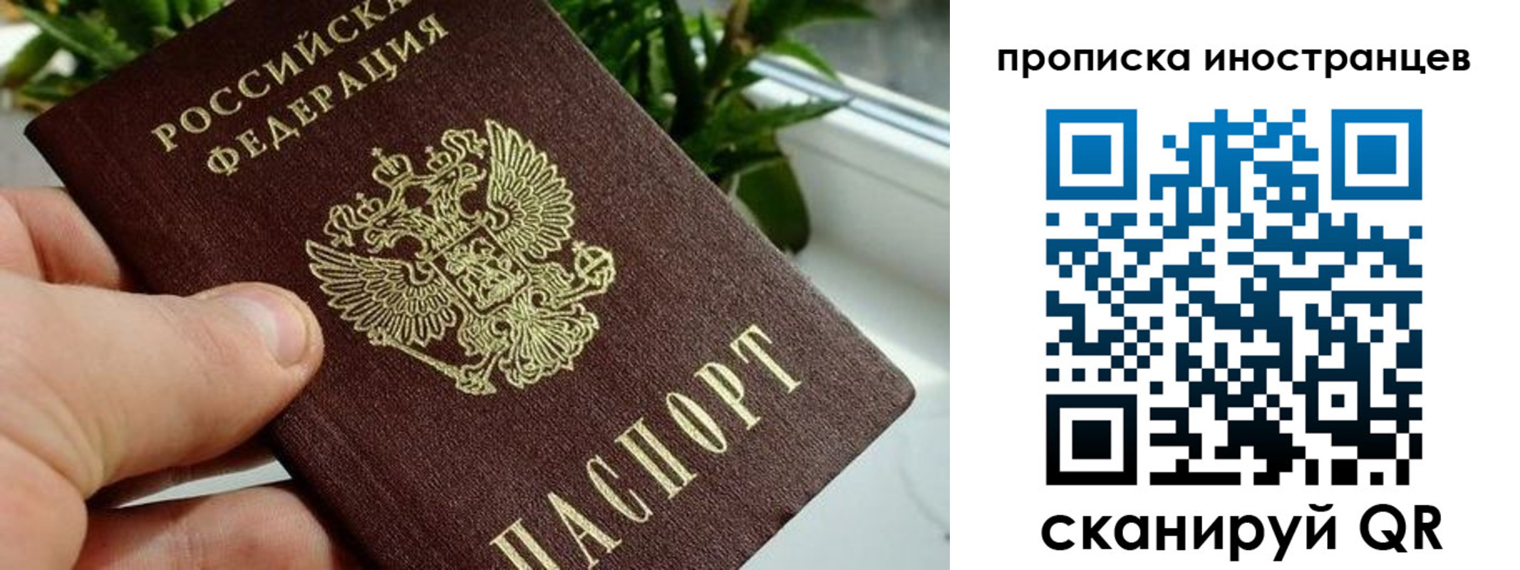 временная регистрация в Лузе